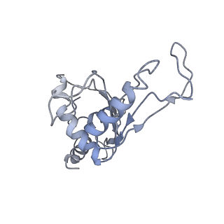 3640_5ngm_AF_v1-3
2.9S structure of the 70S ribosome composing the S. aureus 100S complex