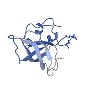 3640_5ngm_AI_v1-3
2.9S structure of the 70S ribosome composing the S. aureus 100S complex