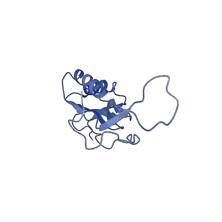3640_5ngm_AK_v1-3
2.9S structure of the 70S ribosome composing the S. aureus 100S complex