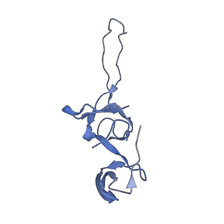 3640_5ngm_AS_v1-3
2.9S structure of the 70S ribosome composing the S. aureus 100S complex