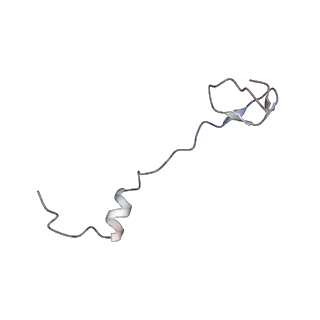 3640_5ngm_AZ_v1-3
2.9S structure of the 70S ribosome composing the S. aureus 100S complex