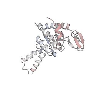 3640_5ngm_Ab_v1-3
2.9S structure of the 70S ribosome composing the S. aureus 100S complex