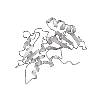 3640_5ngm_Ac_v1-3
2.9S structure of the 70S ribosome composing the S. aureus 100S complex