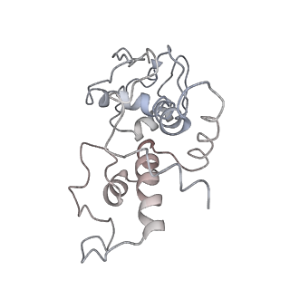 3640_5ngm_Ad_v1-3
2.9S structure of the 70S ribosome composing the S. aureus 100S complex