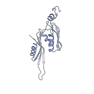 3640_5ngm_Ae_v1-3
2.9S structure of the 70S ribosome composing the S. aureus 100S complex