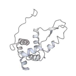 3640_5ngm_Ag_v1-3
2.9S structure of the 70S ribosome composing the S. aureus 100S complex