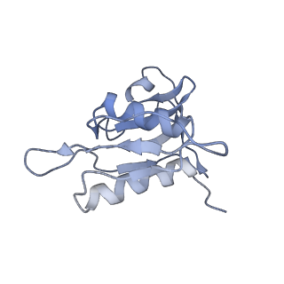 3640_5ngm_Ah_v1-3
2.9S structure of the 70S ribosome composing the S. aureus 100S complex