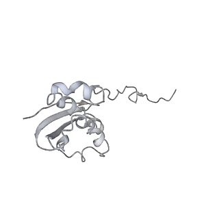 3640_5ngm_Ai_v1-3
2.9S structure of the 70S ribosome composing the S. aureus 100S complex