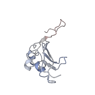 3640_5ngm_Ak_v1-3
2.9S structure of the 70S ribosome composing the S. aureus 100S complex