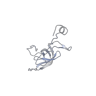 3640_5ngm_Al_v1-3
2.9S structure of the 70S ribosome composing the S. aureus 100S complex