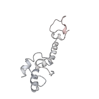 3640_5ngm_Am_v1-3
2.9S structure of the 70S ribosome composing the S. aureus 100S complex