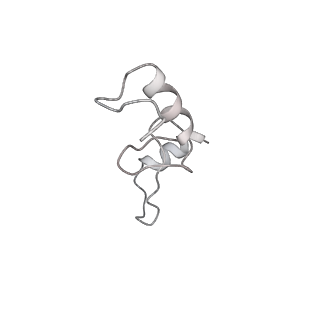 3640_5ngm_An_v1-3
2.9S structure of the 70S ribosome composing the S. aureus 100S complex
