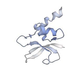 3640_5ngm_Ap_v1-3
2.9S structure of the 70S ribosome composing the S. aureus 100S complex