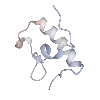 3640_5ngm_Ar_v1-3
2.9S structure of the 70S ribosome composing the S. aureus 100S complex