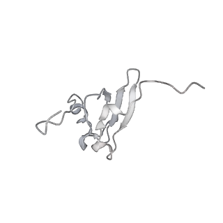 3640_5ngm_As_v1-3
2.9S structure of the 70S ribosome composing the S. aureus 100S complex