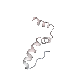 3640_5ngm_Au_v1-3
2.9S structure of the 70S ribosome composing the S. aureus 100S complex