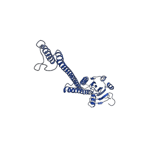 12321_7nh9_A_v1-1
structure of the full-length CmaX protein