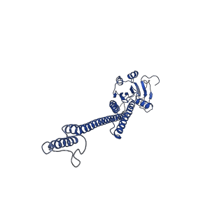 12321_7nh9_B_v1-1
structure of the full-length CmaX protein