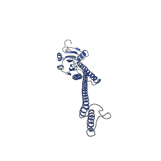 12321_7nh9_C_v1-1
structure of the full-length CmaX protein