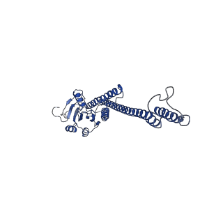 12321_7nh9_D_v1-1
structure of the full-length CmaX protein