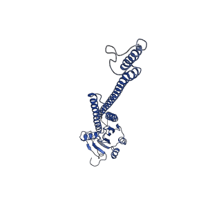12321_7nh9_E_v1-1
structure of the full-length CmaX protein
