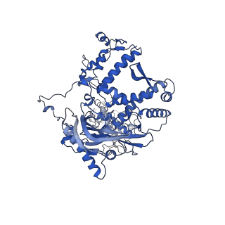 12322_7nha_A_v1-1
1918 H1N1 Viral influenza polymerase heterotrimer - Endonuclease and priming loop ordered (Class2a)