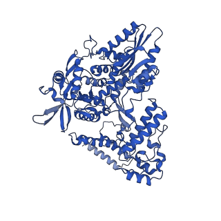 12322_7nha_B_v1-1
1918 H1N1 Viral influenza polymerase heterotrimer - Endonuclease and priming loop ordered (Class2a)