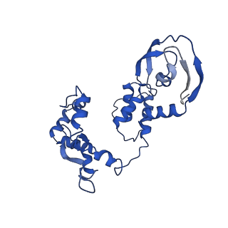 12322_7nha_C_v1-1
1918 H1N1 Viral influenza polymerase heterotrimer - Endonuclease and priming loop ordered (Class2a)