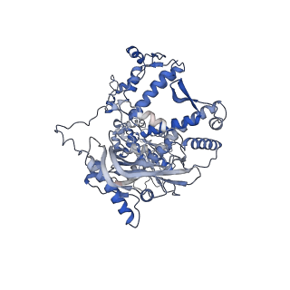 12323_7nhc_A_v1-1
1918 H1N1 Viral influenza polymerase heterotrimer - Endonuclease ordered (Class2b)