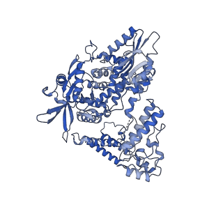 12323_7nhc_B_v1-1
1918 H1N1 Viral influenza polymerase heterotrimer - Endonuclease ordered (Class2b)