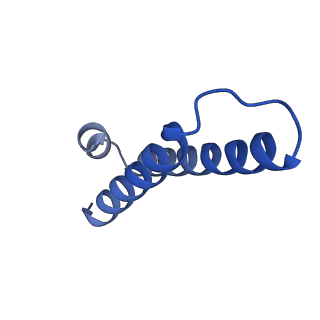 12331_7nhk_1_v1-1
LsaA, an antibiotic resistance ABCF, in complex with 70S ribosome from Enterococcus faecalis