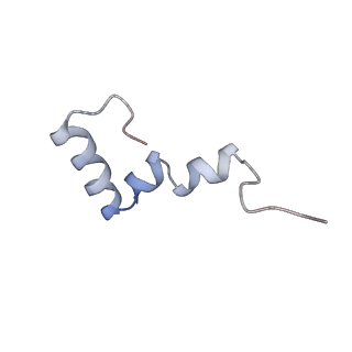 12331_7nhk_6_v1-1
LsaA, an antibiotic resistance ABCF, in complex with 70S ribosome from Enterococcus faecalis