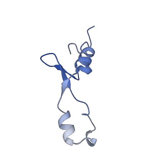 12331_7nhk_7_v1-1
LsaA, an antibiotic resistance ABCF, in complex with 70S ribosome from Enterococcus faecalis