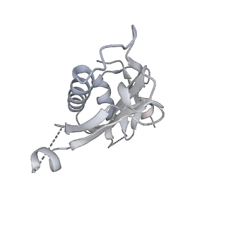 12331_7nhk_F_v1-1
LsaA, an antibiotic resistance ABCF, in complex with 70S ribosome from Enterococcus faecalis