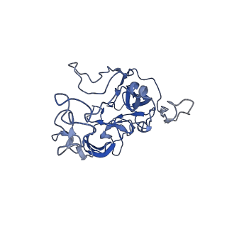 12331_7nhk_G_v1-1
LsaA, an antibiotic resistance ABCF, in complex with 70S ribosome from Enterococcus faecalis