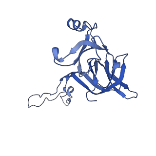 12331_7nhk_H_v1-1
LsaA, an antibiotic resistance ABCF, in complex with 70S ribosome from Enterococcus faecalis