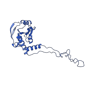 12331_7nhk_I_v1-1
LsaA, an antibiotic resistance ABCF, in complex with 70S ribosome from Enterococcus faecalis