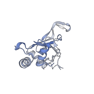 12331_7nhk_J_v1-1
LsaA, an antibiotic resistance ABCF, in complex with 70S ribosome from Enterococcus faecalis