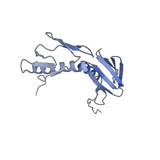 12331_7nhk_K_v1-1
LsaA, an antibiotic resistance ABCF, in complex with 70S ribosome from Enterococcus faecalis