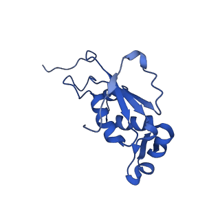 12331_7nhk_M_v1-1
LsaA, an antibiotic resistance ABCF, in complex with 70S ribosome from Enterococcus faecalis