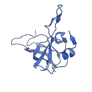 12331_7nhk_N_v1-1
LsaA, an antibiotic resistance ABCF, in complex with 70S ribosome from Enterococcus faecalis