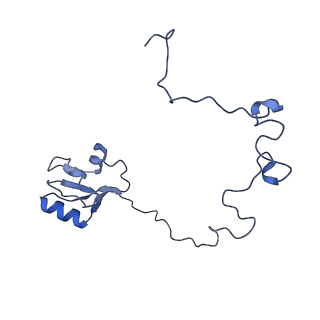 12331_7nhk_O_v1-1
LsaA, an antibiotic resistance ABCF, in complex with 70S ribosome from Enterococcus faecalis