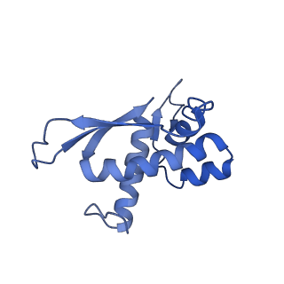 12331_7nhk_Q_v1-1
LsaA, an antibiotic resistance ABCF, in complex with 70S ribosome from Enterococcus faecalis