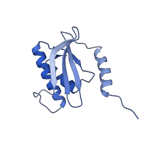 12331_7nhk_R_v1-1
LsaA, an antibiotic resistance ABCF, in complex with 70S ribosome from Enterococcus faecalis