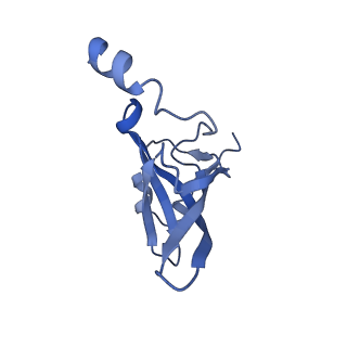12331_7nhk_S_v1-1
LsaA, an antibiotic resistance ABCF, in complex with 70S ribosome from Enterococcus faecalis
