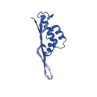 12331_7nhk_V_v1-1
LsaA, an antibiotic resistance ABCF, in complex with 70S ribosome from Enterococcus faecalis