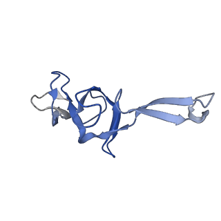 12331_7nhk_X_v1-1
LsaA, an antibiotic resistance ABCF, in complex with 70S ribosome from Enterococcus faecalis