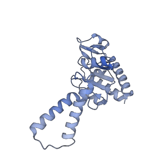 12331_7nhk_c_v1-1
LsaA, an antibiotic resistance ABCF, in complex with 70S ribosome from Enterococcus faecalis