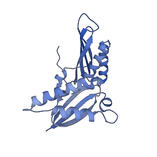 12331_7nhk_d_v1-1
LsaA, an antibiotic resistance ABCF, in complex with 70S ribosome from Enterococcus faecalis