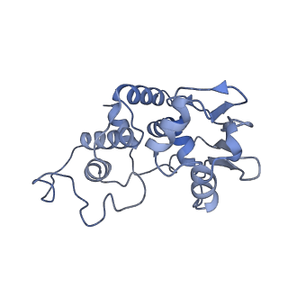 12331_7nhk_e_v1-1
LsaA, an antibiotic resistance ABCF, in complex with 70S ribosome from Enterococcus faecalis